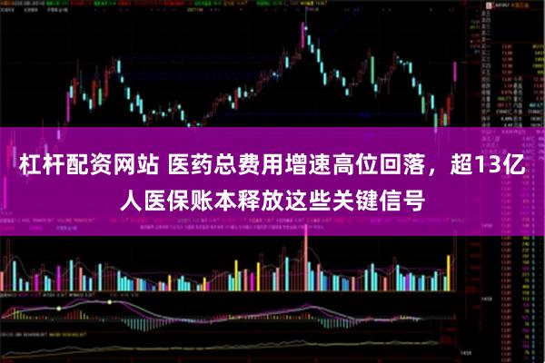 杠杆配资网站 医药总费用增速高位回落，超13亿人医保账本释放这些关键信号